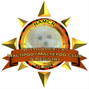 namericanmaltipooclubregistry2.jpg